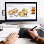 Custom Embroidery Digitizing Services