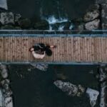 day trips from toronto